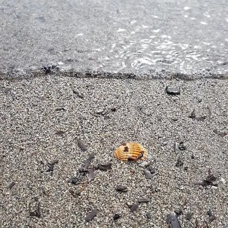 Appartamento A 10 Minuti Dal Poetto